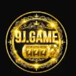 9j game